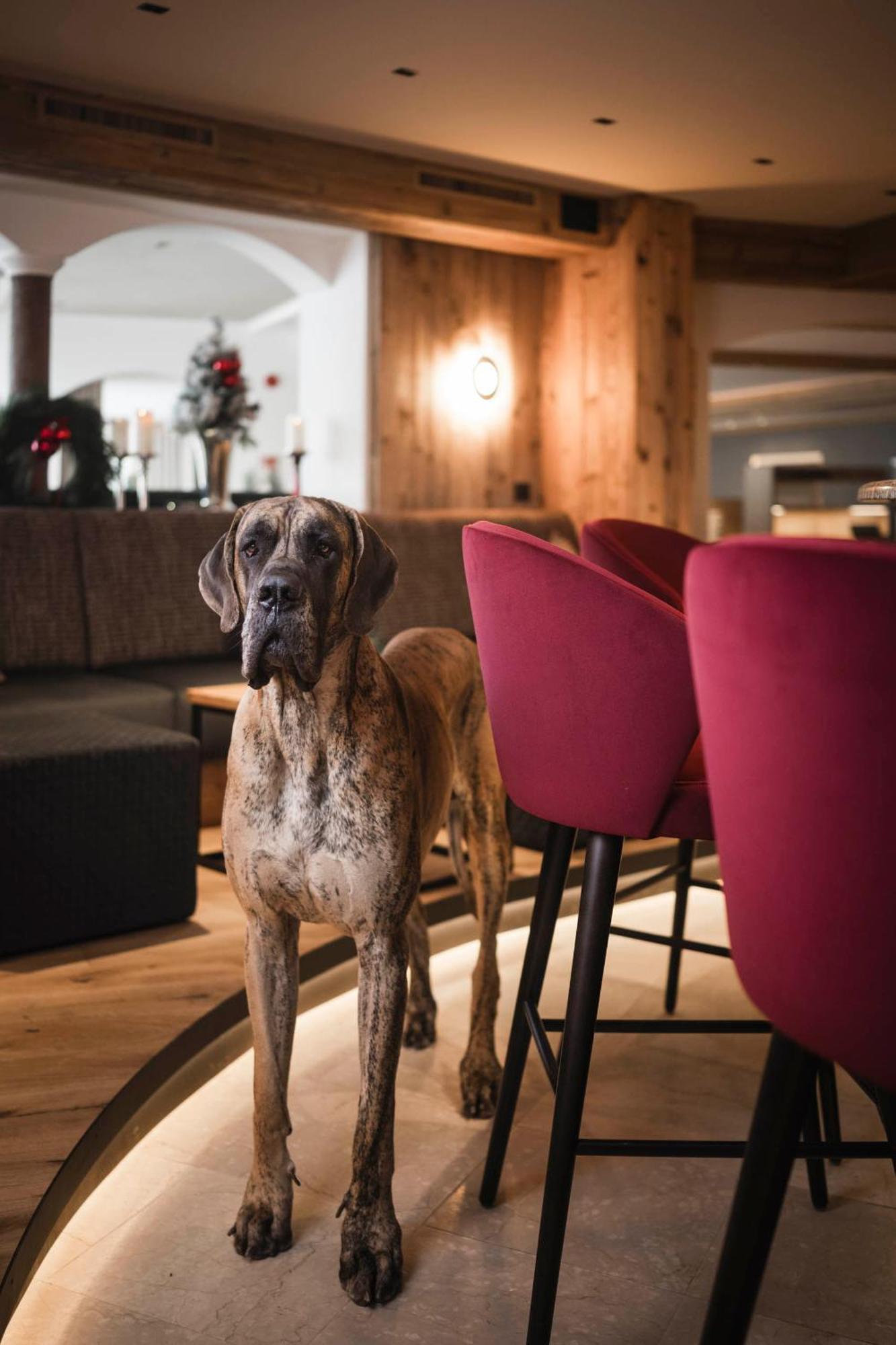 Alpenheim Charming & Spa Hotel Ortisei Eksteriør billede